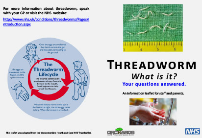 Threadworm leaflet PDF